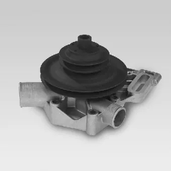 Pompe à eau HEPU P881