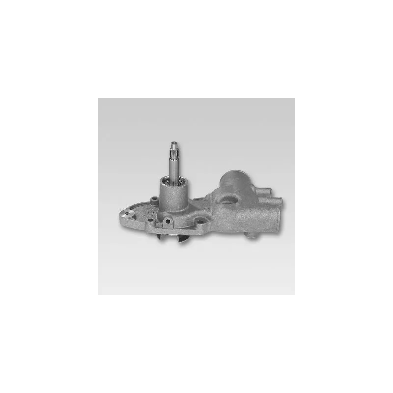 Pompe à eau HEPU P883