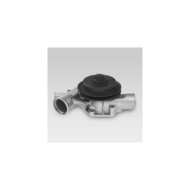 Pompe à eau HEPU P886
