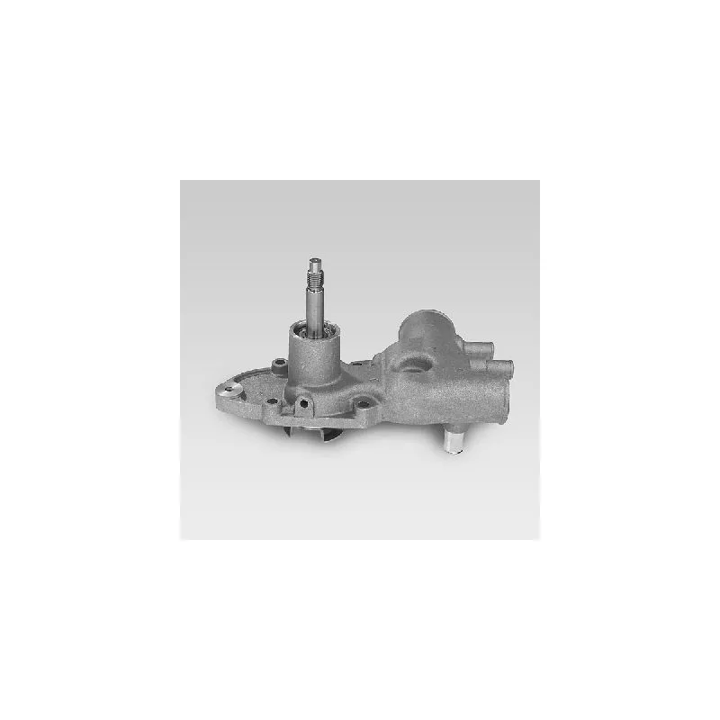 Pompe à eau HEPU P887