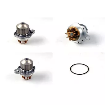 Pompe à eau HEPU P890