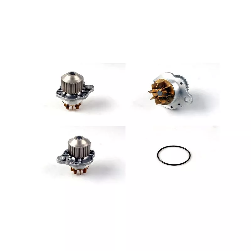 Pompe à eau HEPU P890