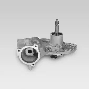 Pompe à eau HEPU P892