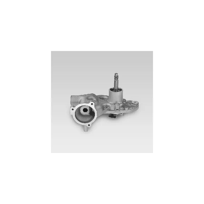 Pompe à eau HEPU P892