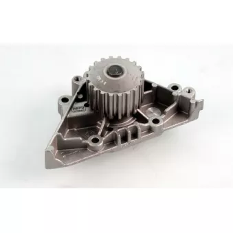 Pompe à eau HEPU P894