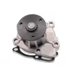 Pompe à eau HEPU P901 - Visuel 1
