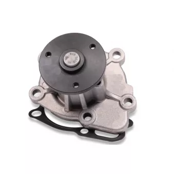 Pompe à eau HEPU P901
