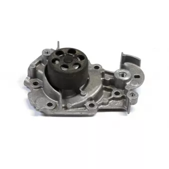 Pompe à eau HEPU P903