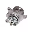 Pompe à eau HEPU P904 - Visuel 2