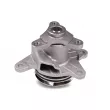 Pompe à eau HEPU P905 - Visuel 1