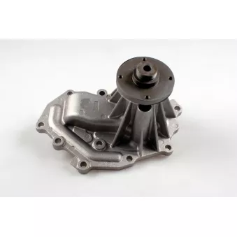 Pompe à eau HEPU P906