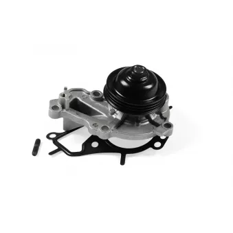 Pompe à eau HEPU P908