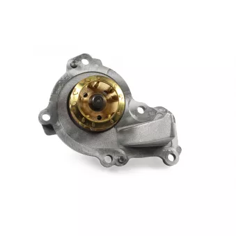 Pompe à eau HEPU P909
