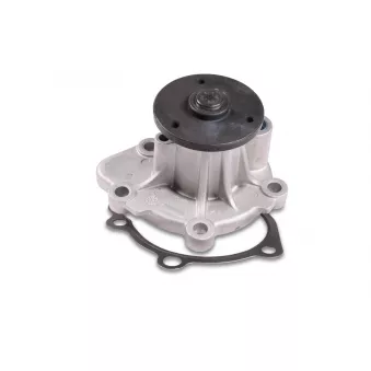 Pompe à eau HEPU P911