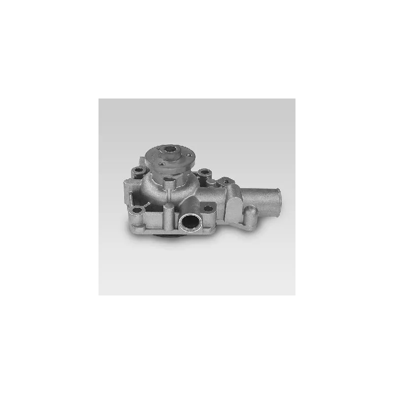 Pompe à eau HEPU P913