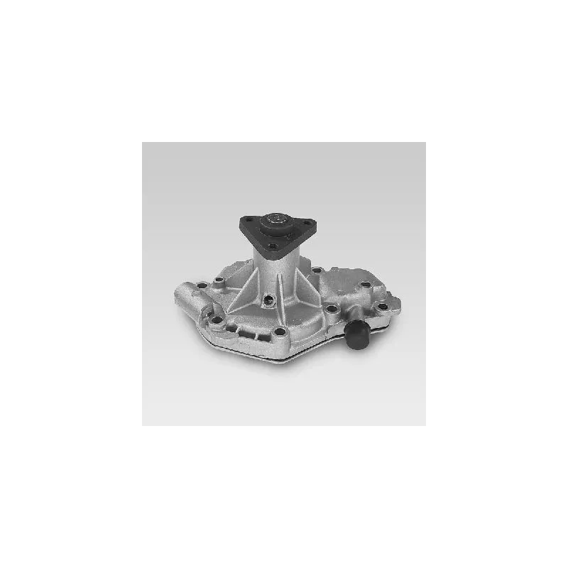 Pompe à eau HEPU P914