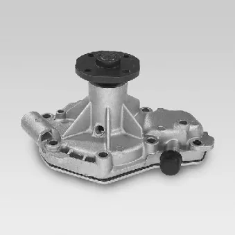 Pompe à eau HEPU P915