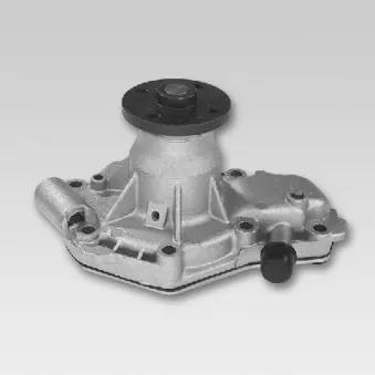 Pompe à eau HEPU P915S