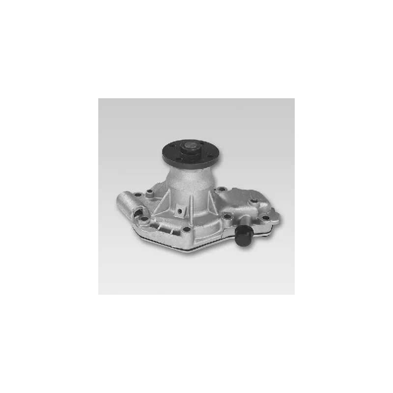 Pompe à eau HEPU P915S
