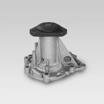 Pompe à eau HEPU P917