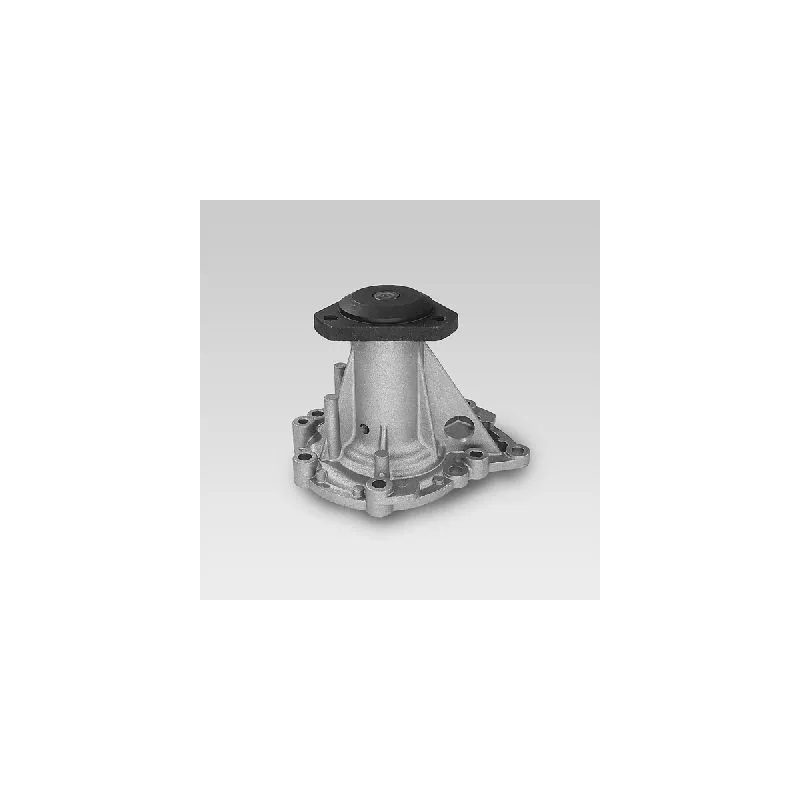 Pompe à eau HEPU P917
