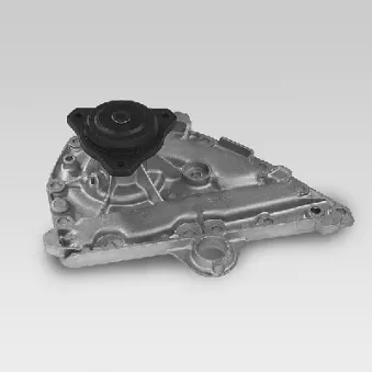 Pompe à eau HEPU P928