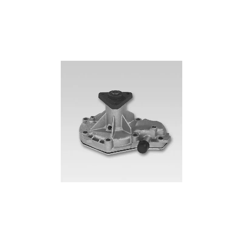 Pompe à eau HEPU P933