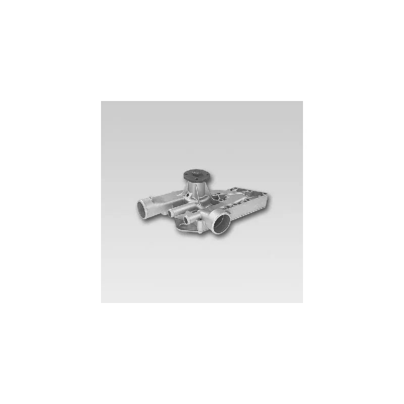 Pompe à eau HEPU P934