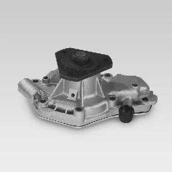 Pompe à eau HEPU P938