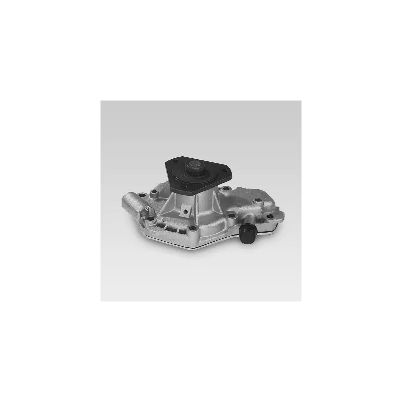 Pompe à eau HEPU P938