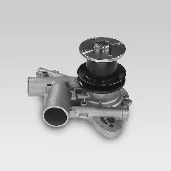 Pompe à eau HEPU P945