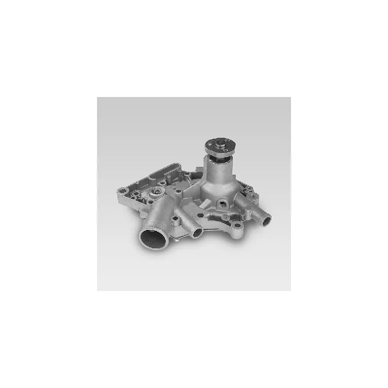 Pompe à eau HEPU P947