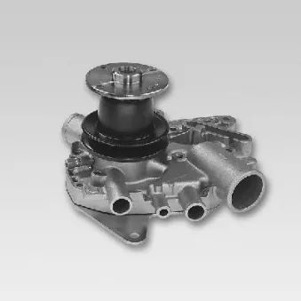 Pompe à eau HEPU P948