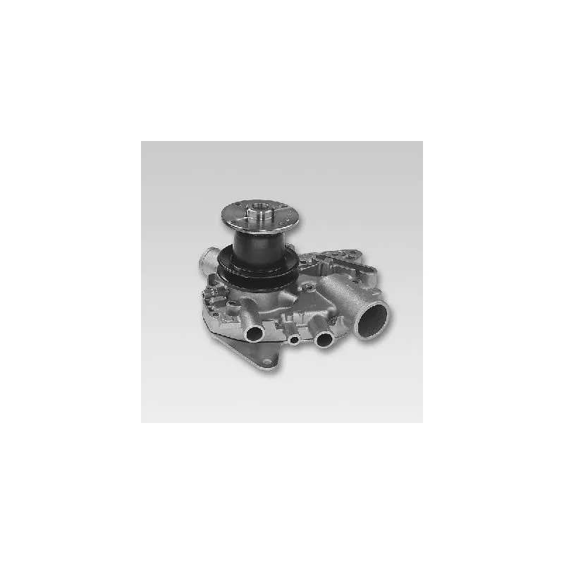 Pompe à eau HEPU P948