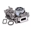 Pompe à eau HEPU P954S - Visuel 1