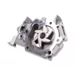 Pompe à eau HEPU P954S - Visuel 2