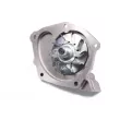 Pompe à eau HEPU P957 - Visuel 2