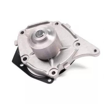 Pompe à eau HEPU P958