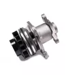 Pompe à eau HEPU P964 - Visuel 1