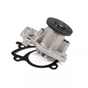 Pompe à eau HEPU P967