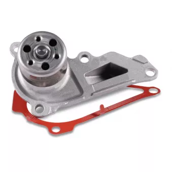 Pompe à eau HEPU P968