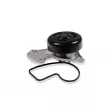 Pompe à eau HEPU P969 - Visuel 1