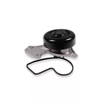 Pompe à eau HEPU P969