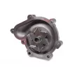 Pompe à eau HEPU P983 - Visuel 2