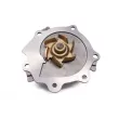 Pompe à eau HEPU P985 - Visuel 2