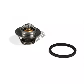 Thermostat, liqiuide de refroidissement HEPU TM1001