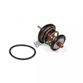 Thermostat, liqiuide de refroidissement HEPU TM1003