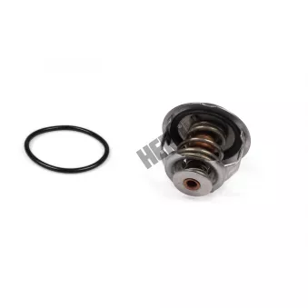 Thermostat, liqiuide de refroidissement HEPU TM1004