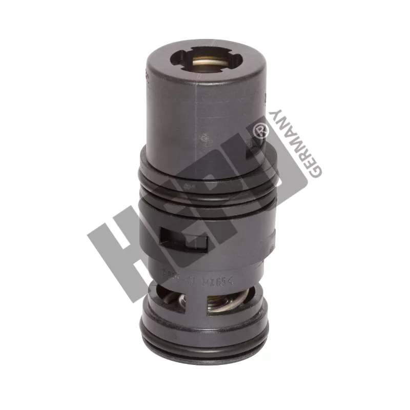 Thermostat d'eau HEPU TM1039