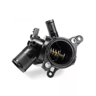 Thermostat d'eau HEPU TM1087